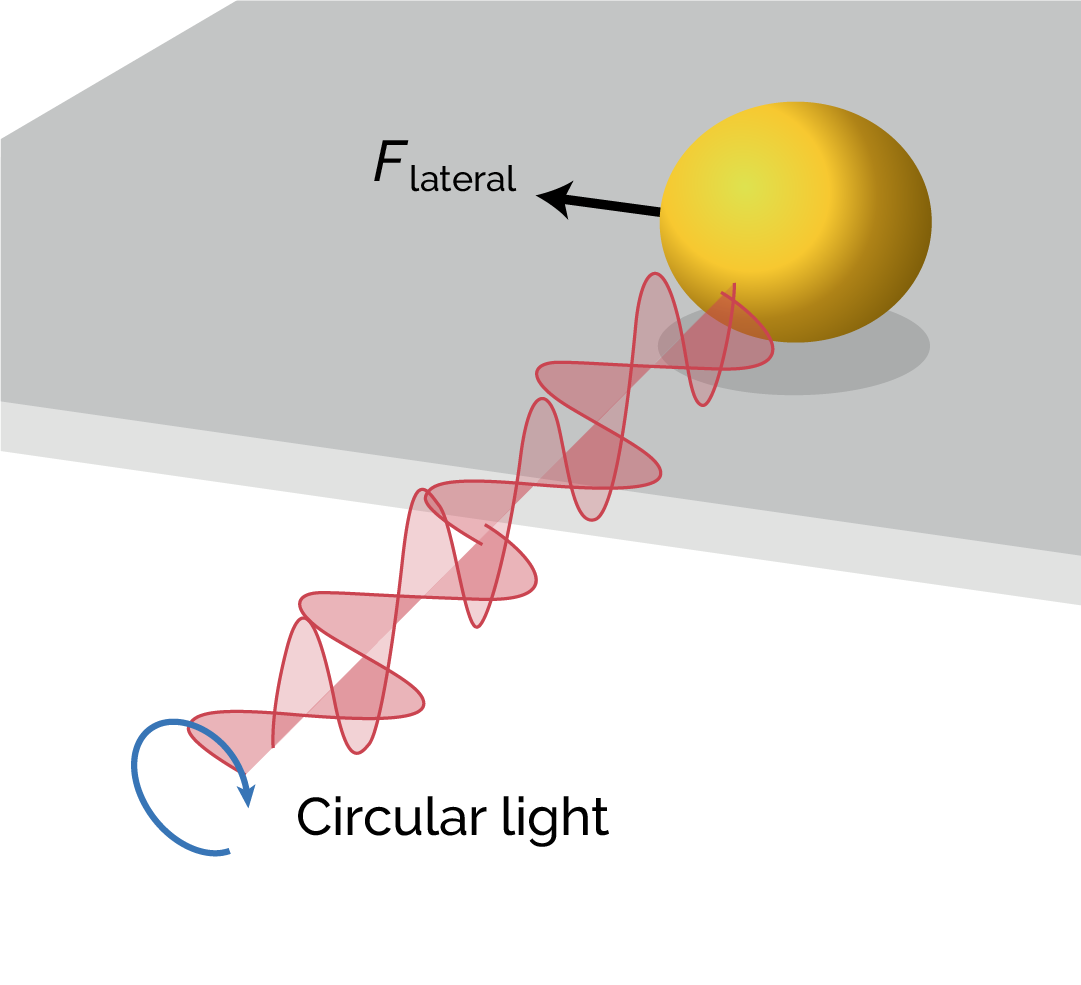 May The “Optical Force” Be With You