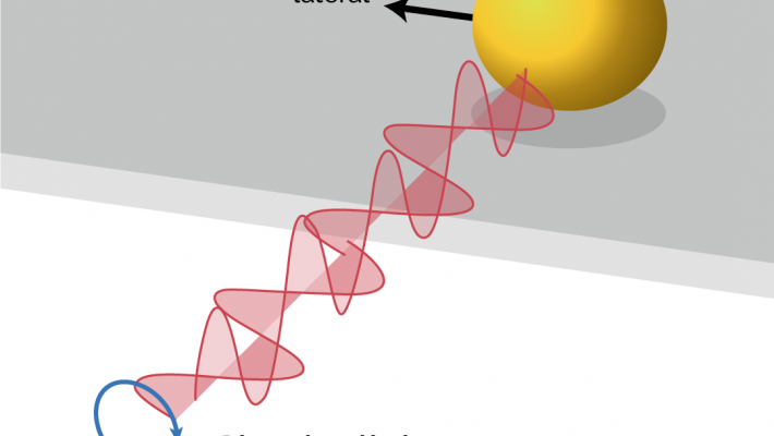 May The “Optical Force” Be With You